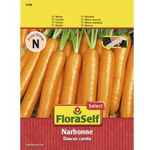Möhre 'Narbonne' Saatband Gemüsesamen
