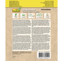 Samenpackung Stangenbohne Neckarkönigin