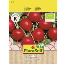 BIO-Radies FloraSelf rund, rot Gemüsesamen-thumb-0