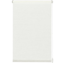 Gardinia EasyFix Rollo ohne Bohren Natur white 60x150 cm | HORNBACH | Seitenzugrollos