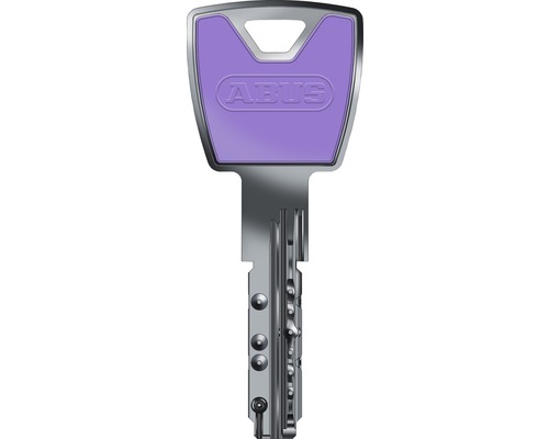 のり Mehrschlüssel für Profilzylinder Abus XP20 zinkgelb | HORNBACH