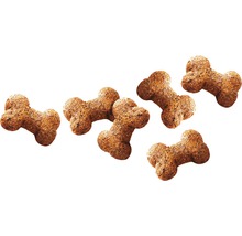 Mehrere Knochenförmige Hundekekse