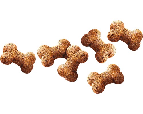 Mehrere Knochenförmige Hundekekse