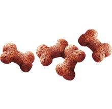 Vier Knochenförmige Hundekekse