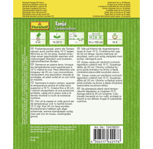 Gurkensamenpackung der Sorte Tanja Cucumis sativus