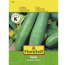 FloraSelf Tanja Salatgurke Samenpackung
