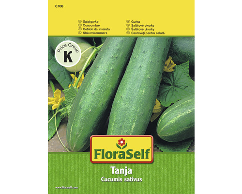 FloraSelf Tanja Salatgurke Samenpackung
