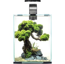 Aquarium Aquael Shrimp Set Day & Night 10 inkl. LED-Beleuchtung, Filter, Heizer, ohne Unterschrank schwarz ca. 10 l, ca. 20 x 20 x 25 cm mit Lampe Höhe ca. 35 cm