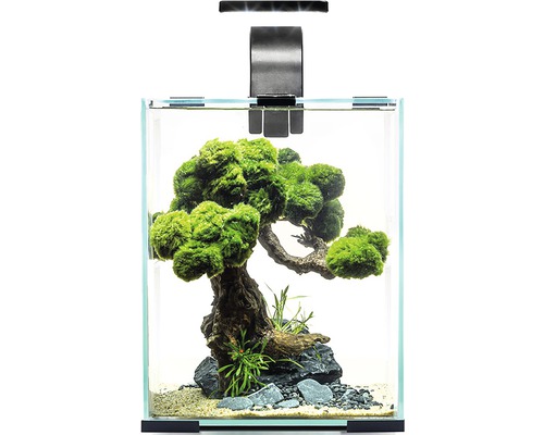 Aquarium Aquael Shrimp Set Day & Night 10 inkl. LED-Beleuchtung, Filter, Heizer, ohne Unterschrank schwarz ca. 10 l, ca. 20 x 20 x 25 cm mit Lampe Höhe ca. 35 cm Aquarium mit Aquariumpflanzen, Wurzelholz und Beleuchtung