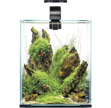 Aquarium Aquael Shrimp Set Day & Night 20 inkl. LED-Beleuchtung, Filter, Heizer, ohne Unterschrank schwarz, ca. 19 L, ca. 25 x 25 x 30 cm mit Lampe Höhe ca. 40 cm