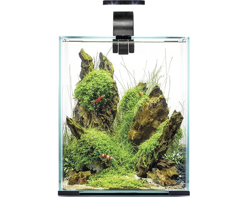 Aquarium Aquael Shrimp Set Day & Night 20 inkl. LED-Beleuchtung, Filter, Heizer, ohne Unterschrank schwarz, ca. 19 L, ca. 25 x 25 x 30 cm mit Lampe Höhe ca. 40 cm Eingerichtetes Nano Aquarium mit Aquarienleuchte, Pflanzen, Steinen und Garnelen