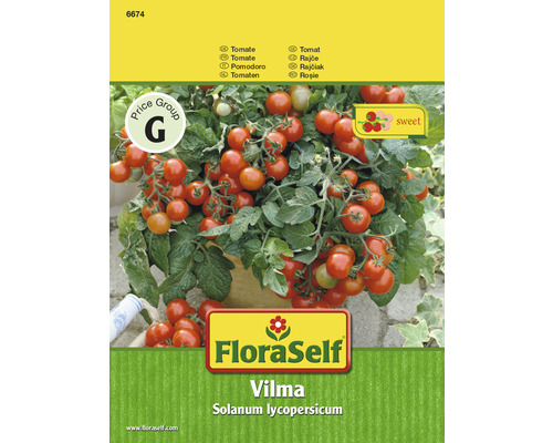 Tomate ' Vilma, F1 ' FloraSelf Gemüsesamen