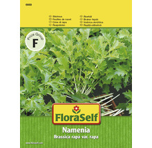 Stielmus Rübstiel Namenia FloraSelf samenfestes Saatgut Gemüsesamen