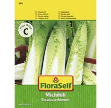 Chinakohl 'Michihili' FloraSelf Gemüsesamen