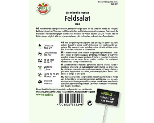 Sperli Feldsalat Elan Saatgutpackung