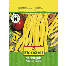 Stangenbohnen 'Neckargold' FloraSelf samenfestes Saatgut Gemüsesamen