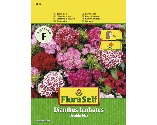Bartnelke 'Double Mix' FloraSelf samenfestes Saatgut Blumensamen