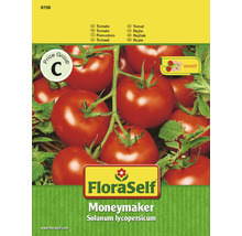 Tomate 'Moneymaker' FloraSelf samenfestes Saatgut Gemüsesamen-thumb-0