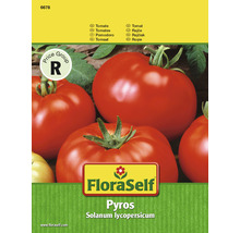 FloraSelf Pyros Tomatensamenpackung