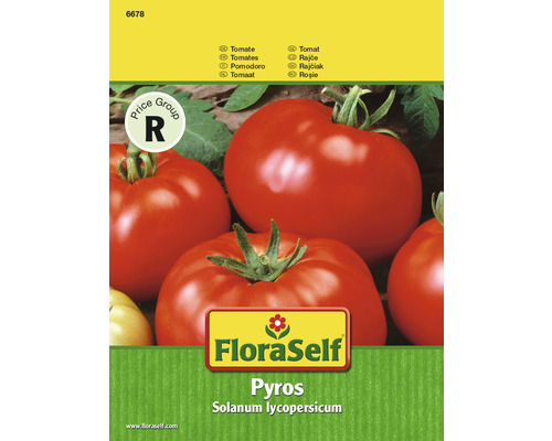 Tomate 'Pyros' FloraSelf F1 Hybride Gemüsesamen