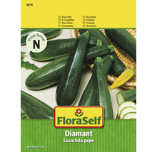 FloraSelf Diamant Zucchini Samenpackung