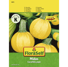 Zucchini 'Midas' FloraSelf F1 Hybride Gemüsesamen