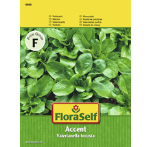 FloraSelf Feldsalat Accent Samenpackung