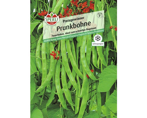 Prunkbohne 'Preisgewinner' Sperli Gemüsesamen