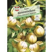 Birnenmelone Melonenbirne Pepino Sperli Gemüsesamen-thumb-0