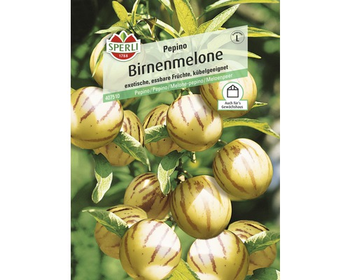 Birnenmelone Melonenbirne Pepino Sperli Gemüsesamen-0