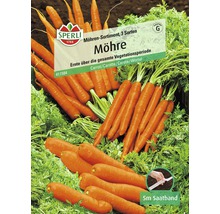 Gemüsesamen Möhre Saatband