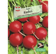 Radies 'Parat' Sperli Gemüsesamen Saatband-thumb-1