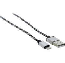 Gestreiftes USB Kabel mit Lightning und USB Anschluss