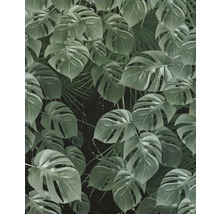 Großformatige Darstellung von Monstera Blättern als Motiv