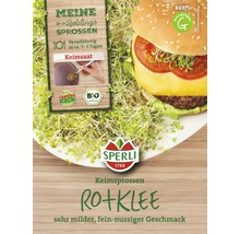 Keimsprossen Sperli Bio Rotklee