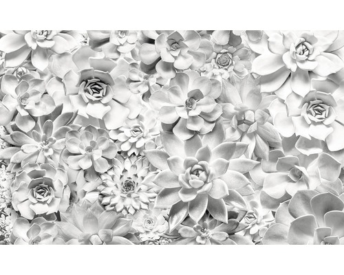 Fototapete Vlies P962-VD4 Pure Shades Black and White 4-tlg. 400 x 250 cm