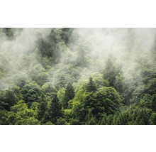 Fototapete Vlies PSH061-VD4 Pure Forest Land 4-tlg. 400 x 250 cm-thumb-0