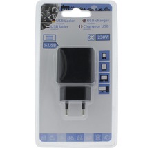 USB Ladegerät 230V 2x USB