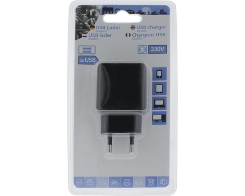 Doppelter USB-Lader in Verpackung