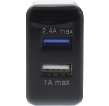 USB Ladegerät 230V 2x USB