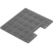 Kohlefilter Amica KF 17134 1 Stück