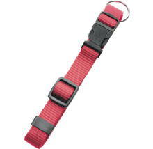 Halsband für Hunde mit Metallschnalle