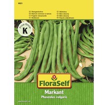 Stangenbohne 'Markant' FloraSelf samenfestes Saatgut Gemüsesamen-thumb-0