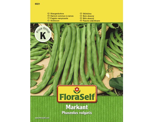 Stangenbohne 'Markant' FloraSelf samenfestes Saatgut Gemüsesamen-0