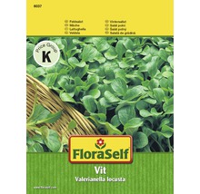 Feldsalat 'Vit' FloraSelf samenfestes Saatgut Salatsamen-thumb-0