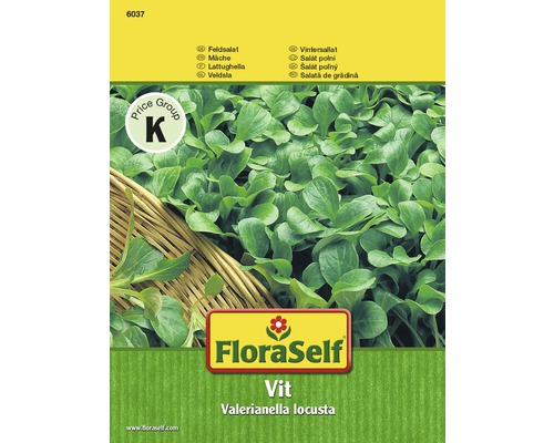 Feldsalat 'Vit' FloraSelf samenfestes Saatgut Salatsamen-0