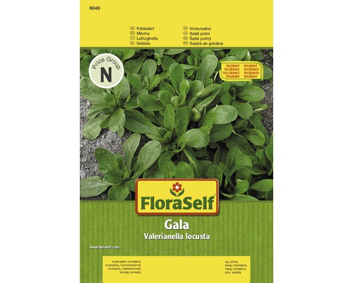 Feldsalat 'Gala' FloraSelf samenfestes Saatgut Salatsamen-0