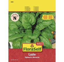 FloraSelf Lazio Spinat Samenpackung