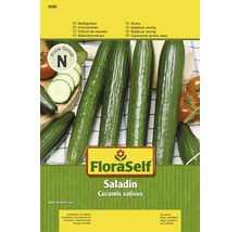 Salatgurke, Sorte Saladin, Samenpackung
