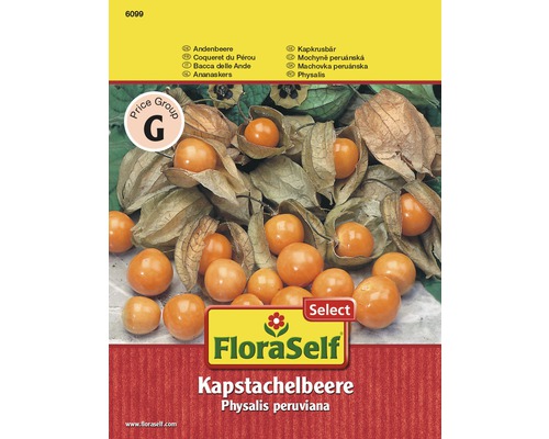 FloraSelf Kapstachelbeere Samenpackung